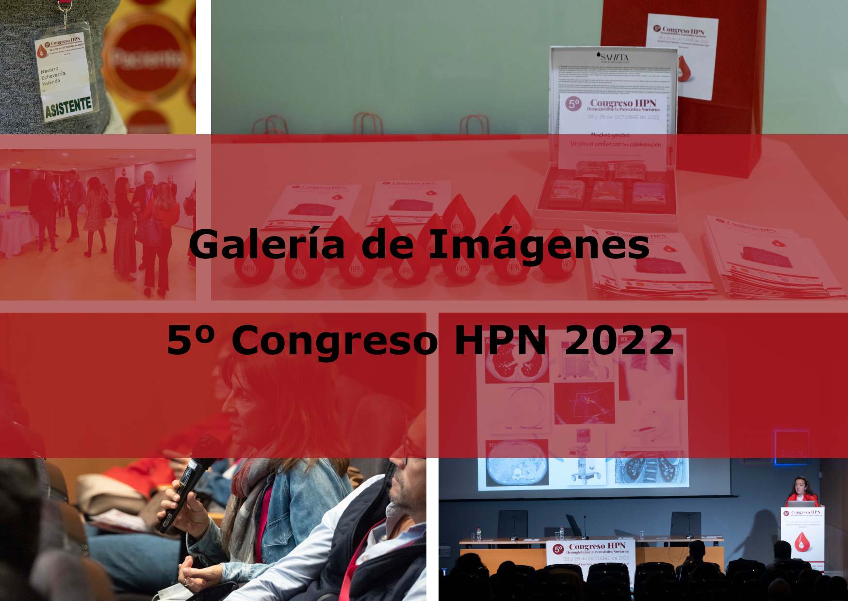 GALERÍA DE IMÁGENES 5º Congreso HPN 2022